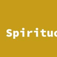 Spirituosen