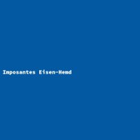 Imposantes Eisen-Hemd