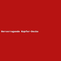 Hervorragende Kupfer-Decke