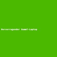 Hervorragender Gummi-Laptop